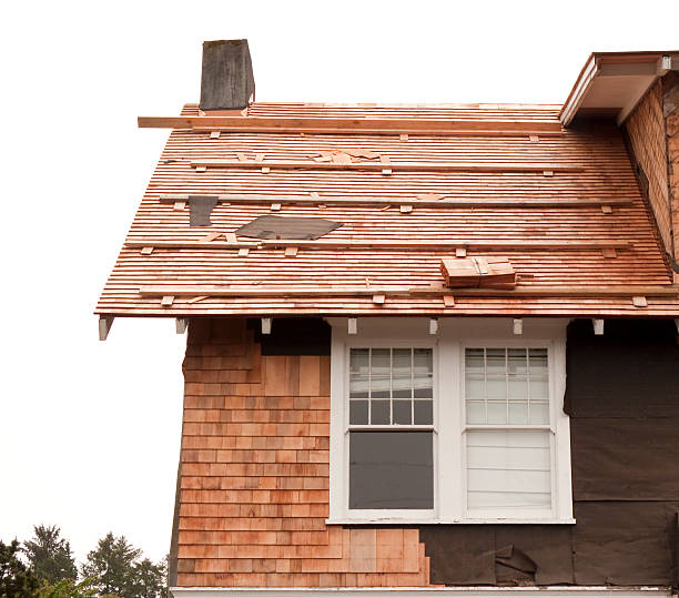 Affordable Siding Repair and Maintenance Services in Smyrna, TN